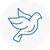 Bird Prevention Elmbridge