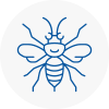 Elmbridge Hornet Nest Removals