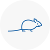Mice Exterminators In Elmbridge