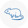 Rat Control Elmbridge