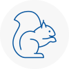Elmbridge Rodent Removals