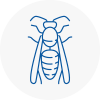 Elmbridge Wasp Nest Removal